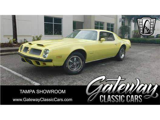 1974 Pontiac Firebird for sale in Ruskin, Florida 33570