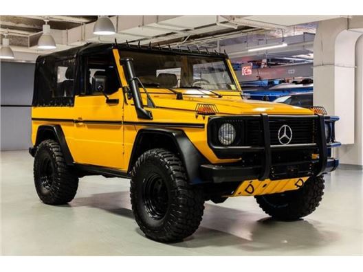 1990 Mercedes-Benz WOLF GD 250 for sale in New York, New York 10019