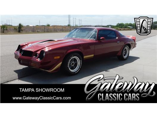 1979 Chevrolet Camaro for sale in Ruskin, Florida 33570