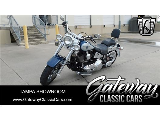 2001 Harley-Davidson Soft Tail for sale in Ruskin, Florida 33570