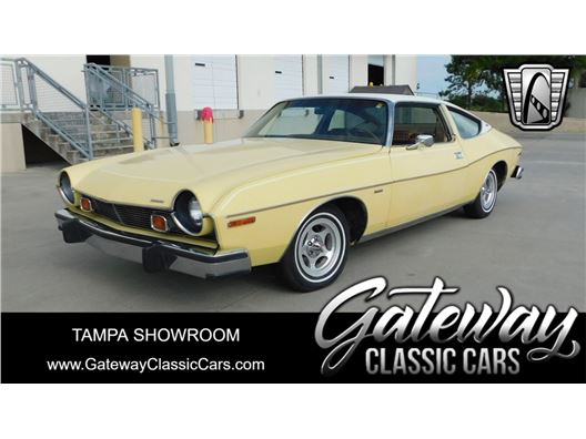1976 AMC Matador for sale in Ruskin, Florida 33570