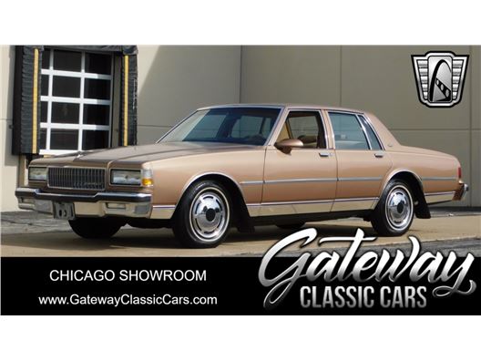 1989 Chevrolet Caprice for sale in Crete, Illinois 60417