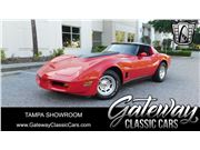 1980 Chevrolet Corvette for sale in Ruskin, Florida 33570