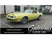 1974 Pontiac Firebird for sale in Ruskin, Florida 33570