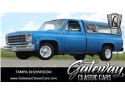 1976 Chevrolet C10 for sale in Ruskin, Florida 33570
