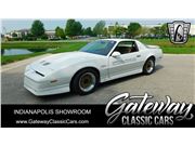 1989 Pontiac Firebird Trans-Am for sale in Indianapolis, Indiana 46268