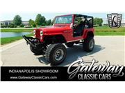 1979 Jeep CJ7 for sale in Indianapolis, Indiana 46268