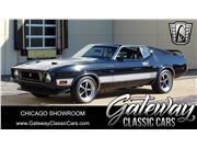 1973 Ford Mustang for sale in Crete, Illinois 60417