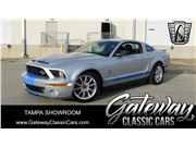 2008 Ford Shelby GT500 for sale in Ruskin, Florida 33570